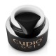 Gel Design Spider Black- CUPIO Gel Paint